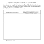 Form 6: Schedule G- Executory Contracts and Unexpired Leases