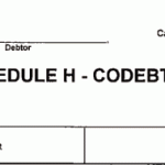 Form 6: Schedule H- Codebtors