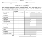 Form 6: Statistical Summary of Certain Liabilities and Related Data